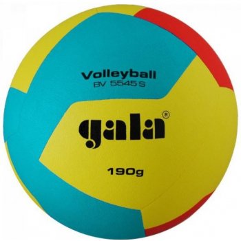 Gala Volleyball 10 BV 5541 S