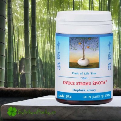 TCM Herbs Ovoce stromu života 100 tablet