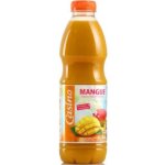 Casino Mangový nektar pet 1 l – Sleviste.cz