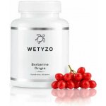 HCY Vitality Berberin 90 kapslí – Hledejceny.cz