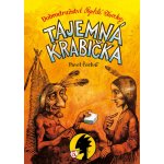 Tajemná krabička - Pavel Čech – Hledejceny.cz