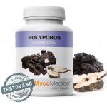 MycoMedica Polyporus Polyporus umbellatus 2 x 90 kapslí – Hledejceny.cz