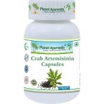 Planet Ayurveda Crab Artemisinin extrakt 60 kapslí – Hledejceny.cz