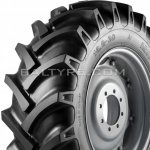 GTK AS100 8,3-24 108A6 TT