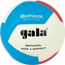 Gala School