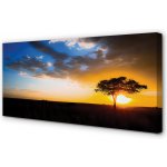 Obrazy na plátně mraky strom 100x50 cm – Hledejceny.cz