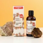 Kvitok Damašská Růže BIO květová voda 100 ml – Zboží Mobilmania