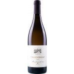 Petr Kočařík Chardonnay 2021 14,2% 0,75 l (holá láhev) – Hledejceny.cz