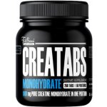 FitBoom Creatabs Monohydrate 250 tablet – Hledejceny.cz