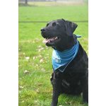 Coolpets Bandana chladící šátek – Sleviste.cz