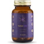 NaturLabs Liposomální multivitamín 30 kapslí – Hledejceny.cz