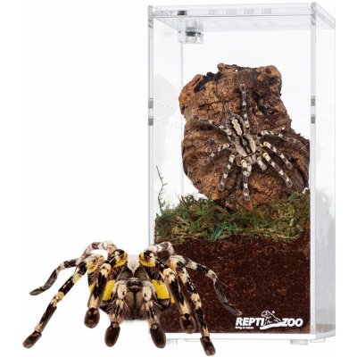 Repti Zoo terárium akrylové 7,5 x 7,5 x 15 cm – Zboží Dáma