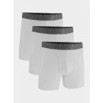 Under Armour M UA Perf Cotton 6in-WHT 1383889-100 – Zboží Dáma