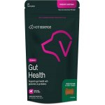 VetriScience Probiotic Everyday probiotikum psi 210 g – Hledejceny.cz
