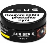 DEUS Sur Beris s příchutí kyselých lesních plodů 100 g – Hledejceny.cz
