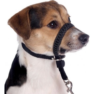 Tommi výcviková ohlávka S – Zboží Dáma Tommi výcviková ohlávka S – Zboží Dáma