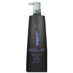 Bes Color Reflection Mask Cool-it 300 ml – Zboží Mobilmania