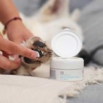 VetExpert Paw Protection mast 75 ml – Zboží Mobilmania