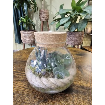 Skleněné mechárium se sukulenty osvětlené – Sleviste.cz