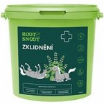 Root&Snoot Zklidnění pro koně sypaná směs 1 kg – Hledejceny.cz