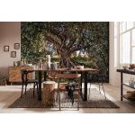 Komar 8-531 Fototapeta olivový strom 8 dílná Olive Tree rozměry 368 x 254 cm – Hledejceny.cz