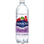 Hanácká kyselka paměť 0,7 l – Zboží Dáma