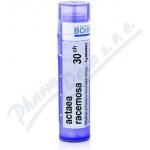 ACTAEA RACEMOSA POR 30CH GRA 1X4G – Hledejceny.cz