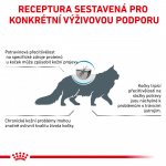 Royal Canin Veterinary Health Nutrition Cat Anallergenic 2 kg – Sleviste.cz