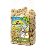 JR Farm Ovesné polštářky 100 g – Zboží Mobilmania