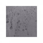 Kempingové křeslo SPRINGOS COSTA šedé – Zbozi.Blesk.cz