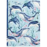 Baloušek Tisk Notes linkovaný A5 amino velryba – Hledejceny.cz