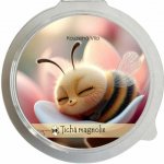 Kouzelná Víla sojový vosk Tichá Magnolie 20 g – Zboží Dáma