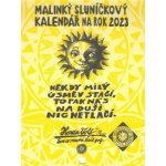 Jak uloupit dračí meč - Cressida Cowell - čte David Novotný – Hledejceny.cz