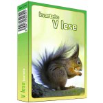 Kvarteto: V lese – Zboží Dáma