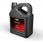 Briggs & Stratton SAE 30 5 l – Sleviste.cz