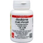 Sinecura Dioskorea huai shanyao prášek 20 g – Hledejceny.cz