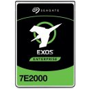 Seagate Exos 7E2000 2TB, ST2000NX0253