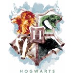 ZUTY Malování podle čísel ERB S BRADAVICKÝMI KOLEJEMI HARRY POTTER Rozměr 40 x 50 cm Rámování vypnuté plátno na rám – Hledejceny.cz