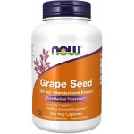 Now Foods Grape seed extract Extrakt z hroznových jader 100 mg x 200 rostlinných kapslí – Hledejceny.cz