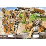 Reas Pack Sešit 540 A5 nelinkovaný 40l 3D MIX – Hledejceny.cz