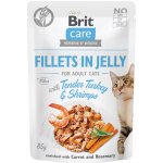 Brit Care Cat Fillets in Jelly Turkey&Shrimps 85 g – Hledejceny.cz