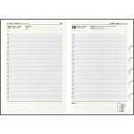 Baloušek Ctirad Manager color A5 Denní 2023 zelený – Sleviste.cz