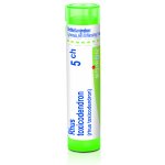 RHUS TOXICODENDRON POR 5CH GRA 4G – Hledejceny.cz