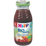 HiPP 100% Jablečno-malinová šťáva BIO 4/6m 200 ml – Zboží Dáma
