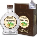 R. JELÍNEK Pivní pálenka 42% 0,2 l (tuba) – Hledejceny.cz