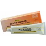 Diafarm Urolsyn pasta pro psy 100 g – Zbozi.Blesk.cz