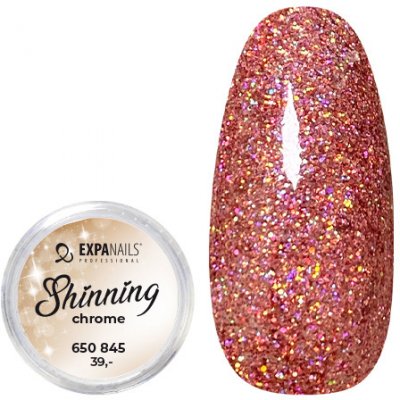Expa nails třpytky na zdobení nehtů shining chrome glitter 5 2 g – Zboží Mobilmania