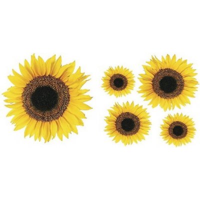 Crearreda Samolepicí dekorace WA M Sunflower 54106 Slunečnice 2 archy 31x31 cm – Sleviste.cz