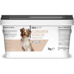 Reavet Psyllium slupky 1 kg – Hledejceny.cz