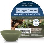 Yankee Candle vonný vosk Silver Sage & Pine Stříbrná šalvěj a borovice 22 g – Hledejceny.cz